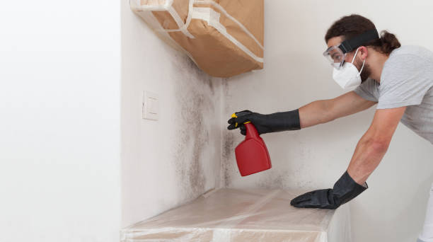 Professional Attic Mold Remediation technician working in Morristown, NJ