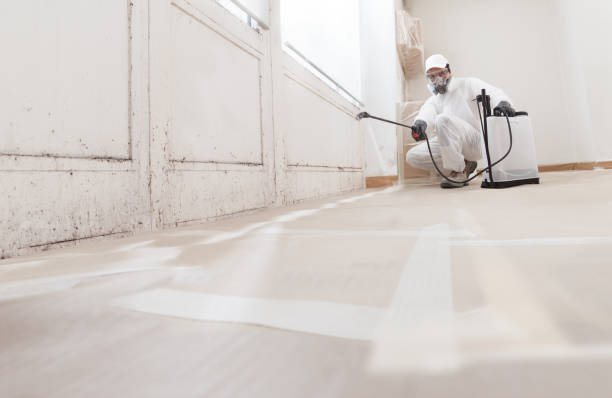 24/7 Emergency Attic Mold Remediation experts in Morristown, NJ