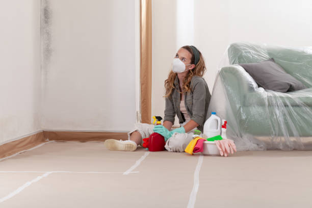 Reliable Attic Mold Remediation contractor in Morristown, NJ by Car Mold Remediation